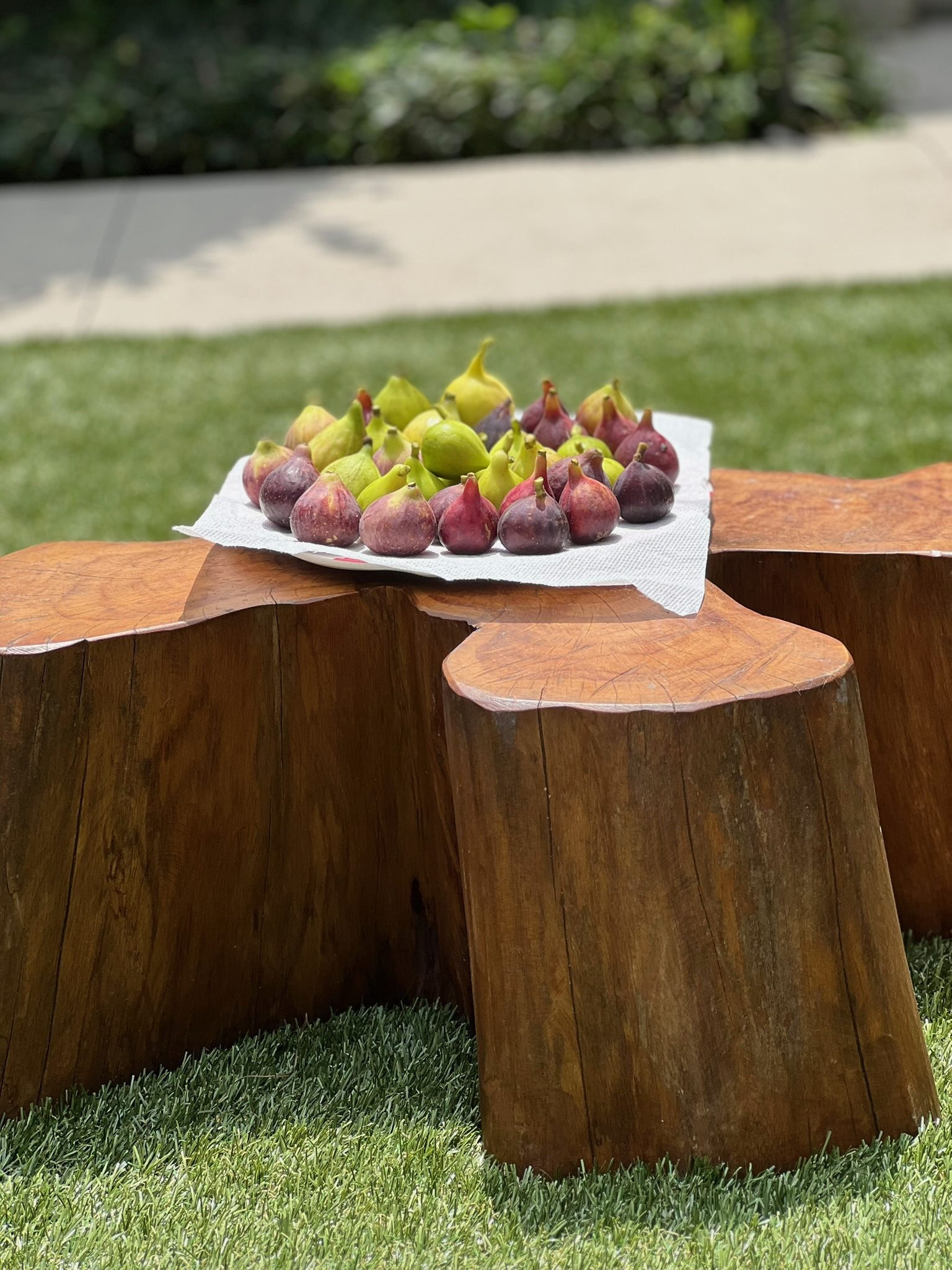 Teak stump coffee table cluster